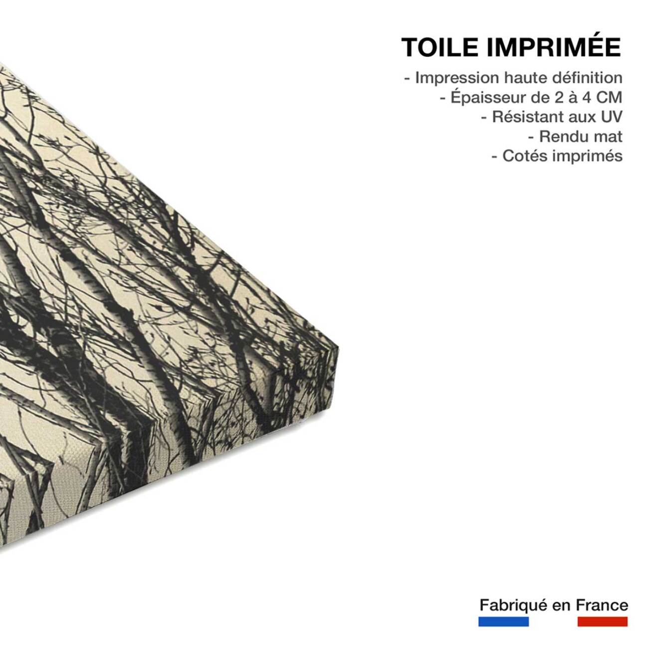 Tableau astronomie lueur hivernale  Toile imprimée