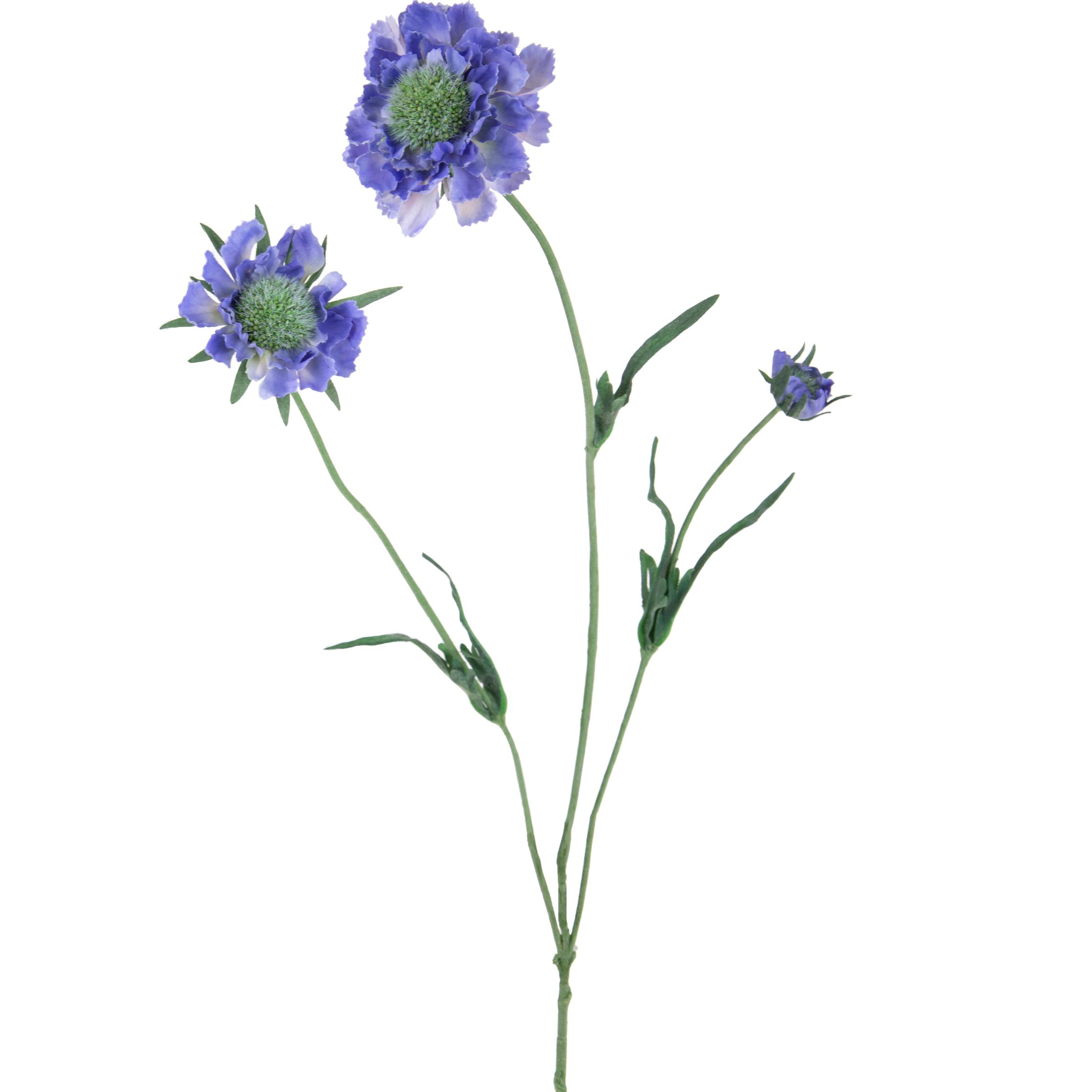 Fiore Di Scabiosa Con 3 Diramazioni. Altezza 64 Cm - Pezzi 6 - 14X64X12cm - Colore: Viola - Bianchi Dino - Fiori Artificiali