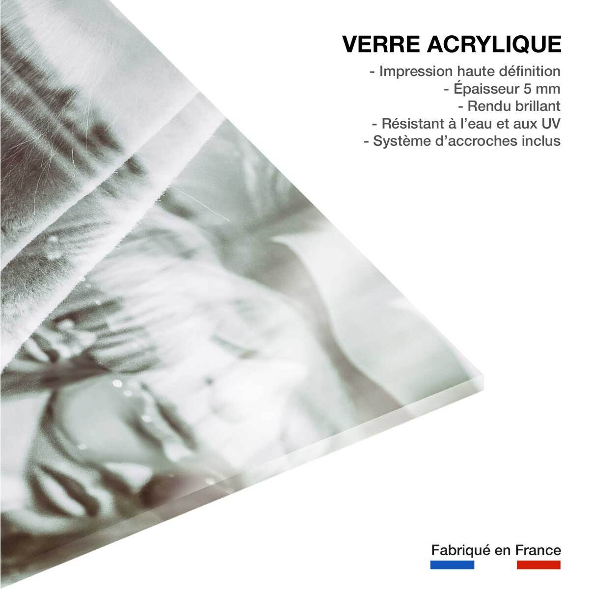 Tableau shooting Tableau photo Tableau plexiglas