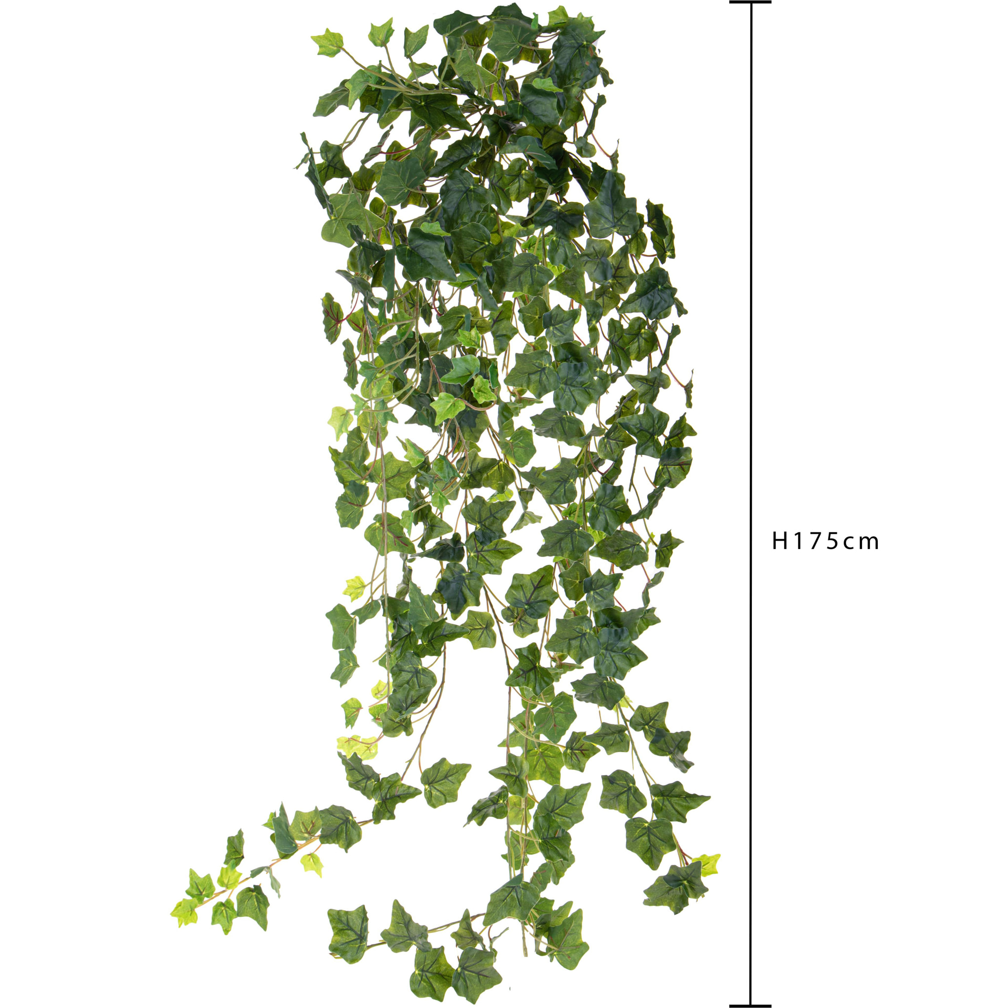 Edera Rampicante Real Touch 175 Cm - Pezzi 1 - 40X175X40cm - Colore: Verde - Bianchi Dino - Piante Artificiali