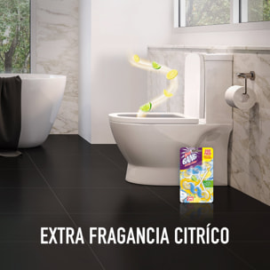 Cillit Bang Active Fresh Colgador WC Fresh Cítrico - 4 unidades (pack de 2x2 uds)