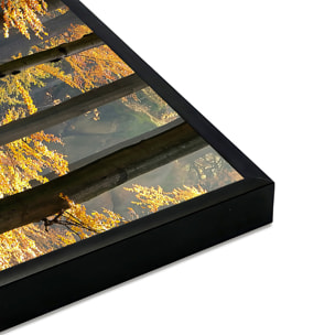 Affiche encadrée forêt d’automne aux couleurs chaudes Affiche + cadre en métal - Noir