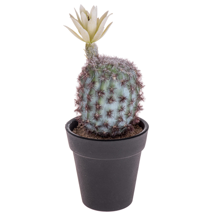 Cactus Con Vaso. Altezza 18 Cm - Pezzi 6 - 7X18X7cm - Colore: Rosso - Bianchi Dino - Piante Artificiali