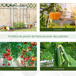 Serre de Jardin serre à tomates 1L x 0,5l x 1,5H m porte zippée déroulante acier thermolaqué PVC haute densité 140 g/m² anti-UV