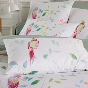 Taie d’oreiller percale de coton 80 fils oiseaux - Blanc