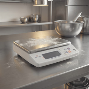 Balance électronique professionnelle - 5kg - IP53 - précision 0,5g - plateau amovible 22 x 16,5 cm