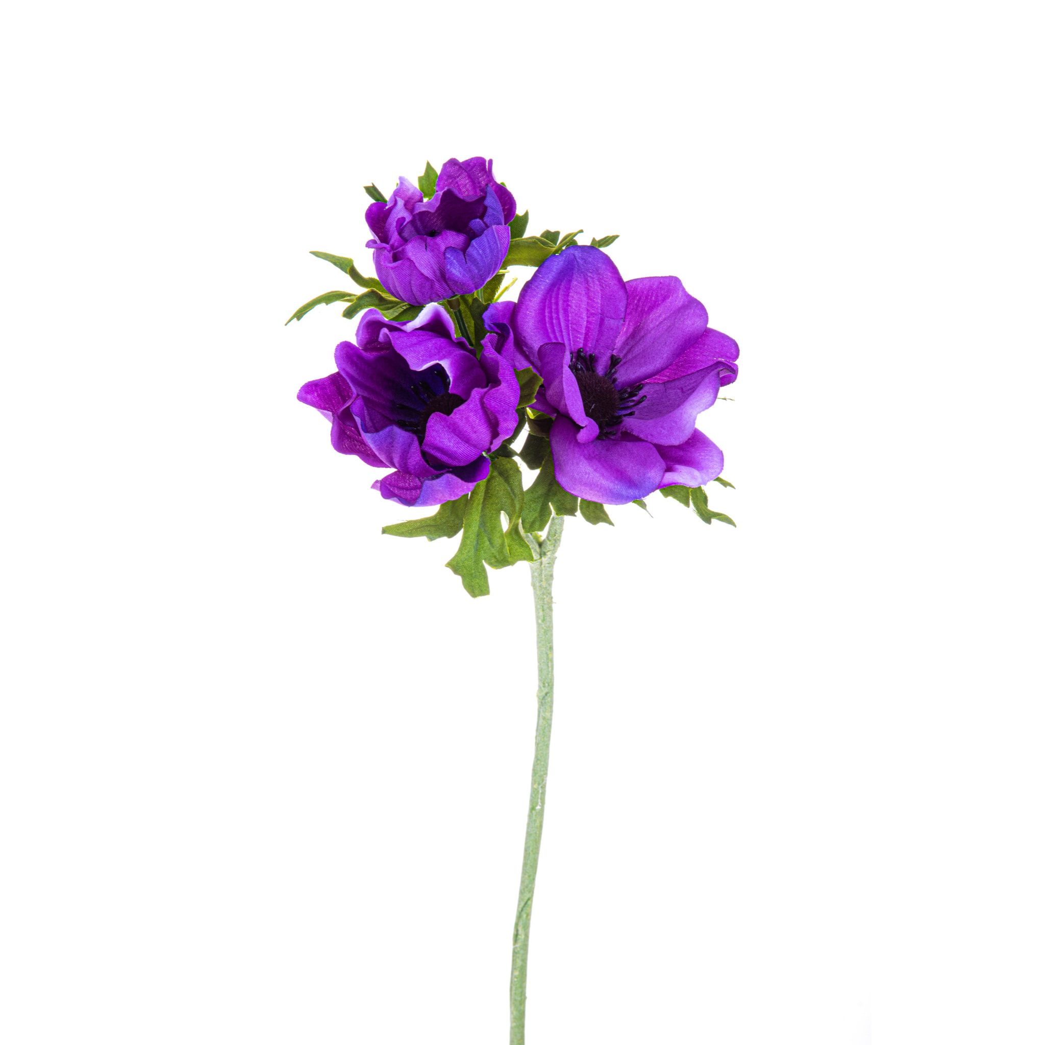 Fiore Di Anemone Composta Da 3 Fiori. Altezza 46 Cm - Pezzi 6 - 18X46X8cm - Colore: Viola - Bianchi Dino - Fiori Artificiali