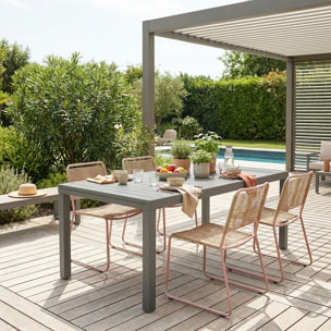 Table de jardin extensible aluminium 10-12 places ELORA