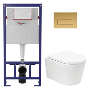 Pack WC bâti ECO 2L Swiss Aqua Technologies + WC suspendu Swiss Aqua Technologies + plaque or (STESTBRWT06-FR)