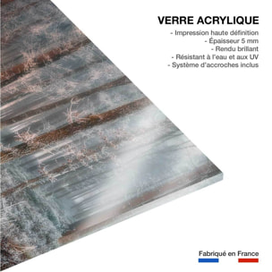 Tableau paysage de glace et de feu Tableau plexiglas