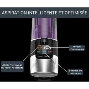 Aspirateur balai ROWENTA X Force Flex 9.60 Kit Allergie RH2039WO