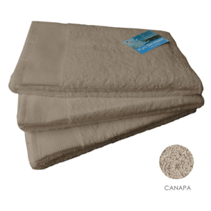 Set salvietta 3 pezzi 60x110 cm canapa