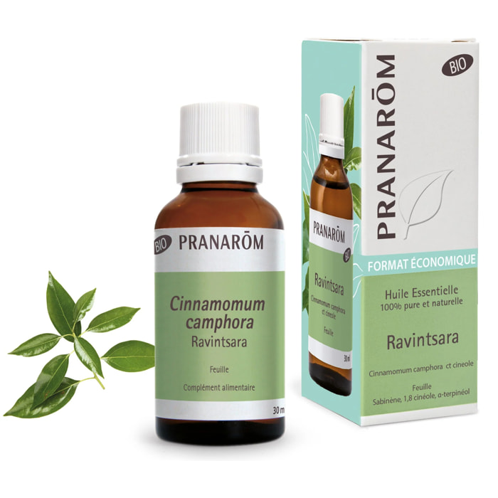 Pranarom - Huile Essentielle de Ravintsara - Bio - 30 ml