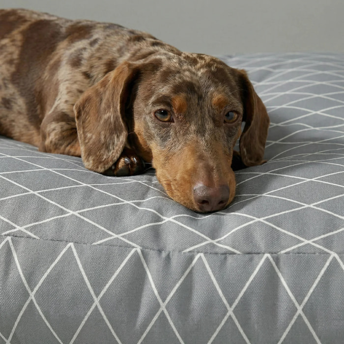 Lit épais et rembourré pour chiens et chats, 100 % coton anti-taches, pour animaux 0120-297