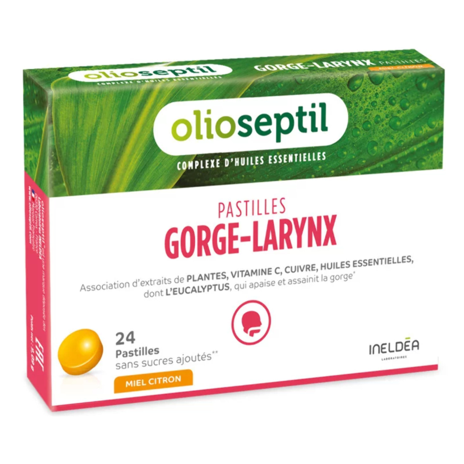 OLIOSEPTIL - Pastilles à Sucer Gorge-Larynx - Apaise et Assainit la Gorge - Sans Sucres Ajoutés - Extraits de Plantes, Vitamine C, Cuivre et Huiles Essentielles - 24 Pastilles - Gout Miel eucalyptus - Miel-Citron