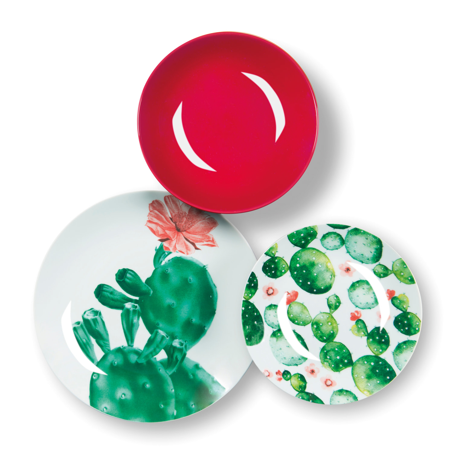 Service de table 18 pièces Excelsa – Color Cactus, Porcelaine Multicolore