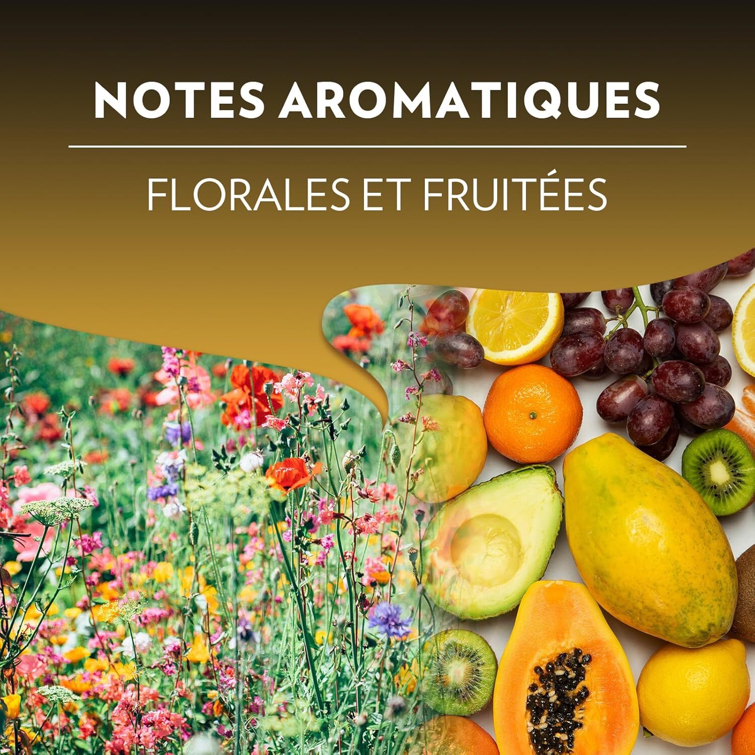 Espresso Lungo x10.  Capsules compatibles Nespresso en aluminium