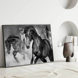 Affiche encadrée chevaux noirs artistiques Affiche + cadre en métal - Noir