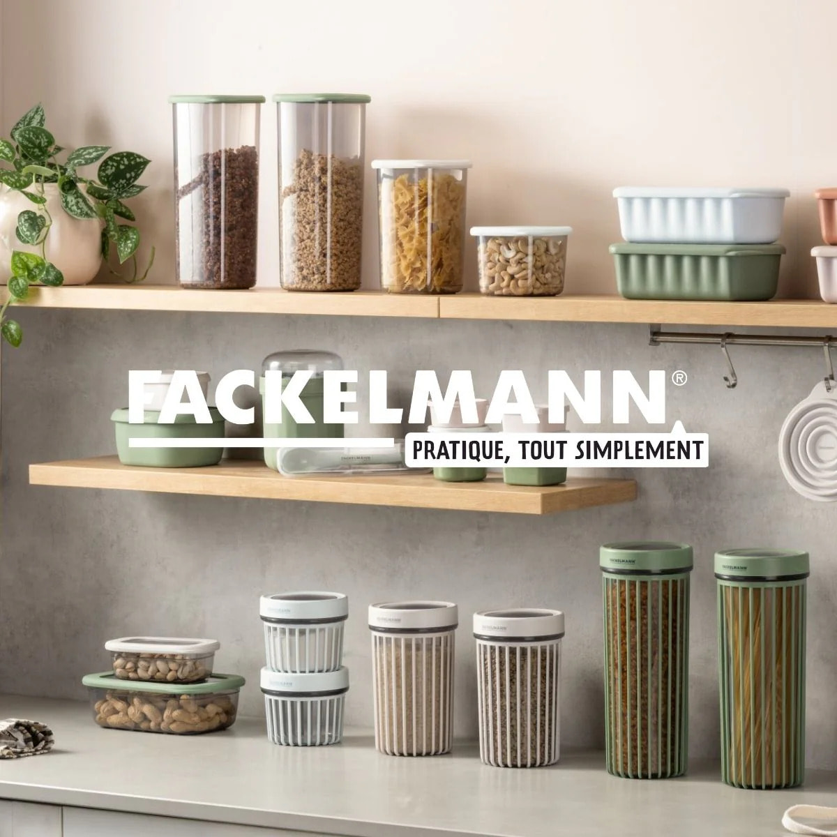 Boite à Provisions 0,5 Litre Fackelmann Storage