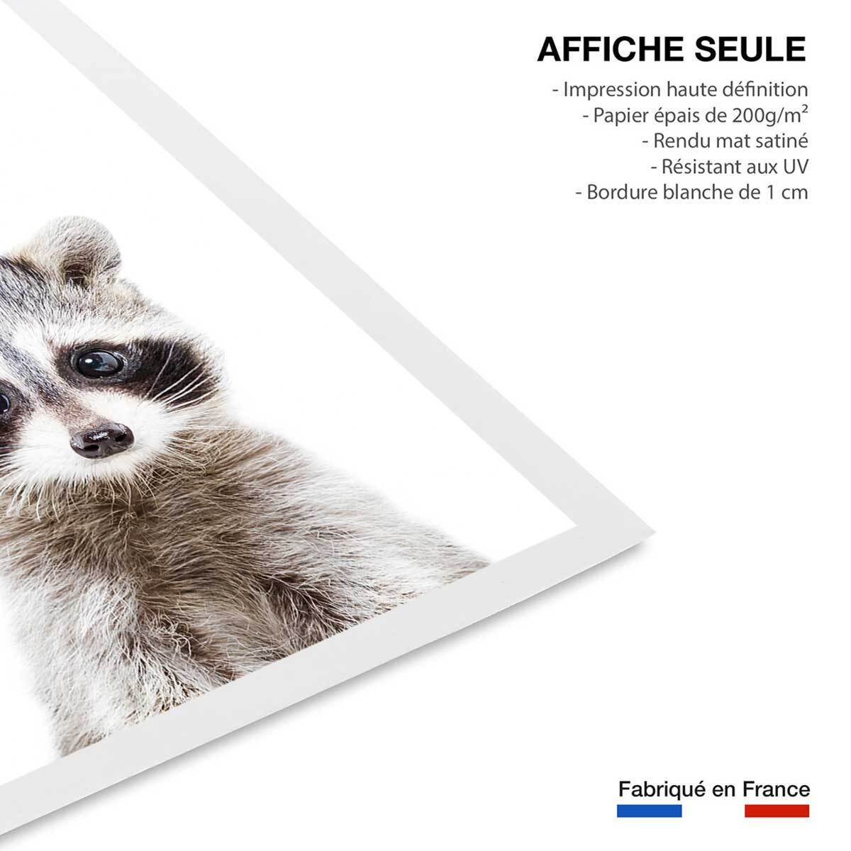 Affiche enfant bébé raton laveur  Affiche seule
