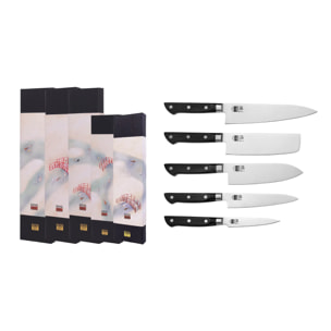 Il Set Completo: 5 coltelli (coltello da ufficio + petty + nakiri + santoku + gyuto)
