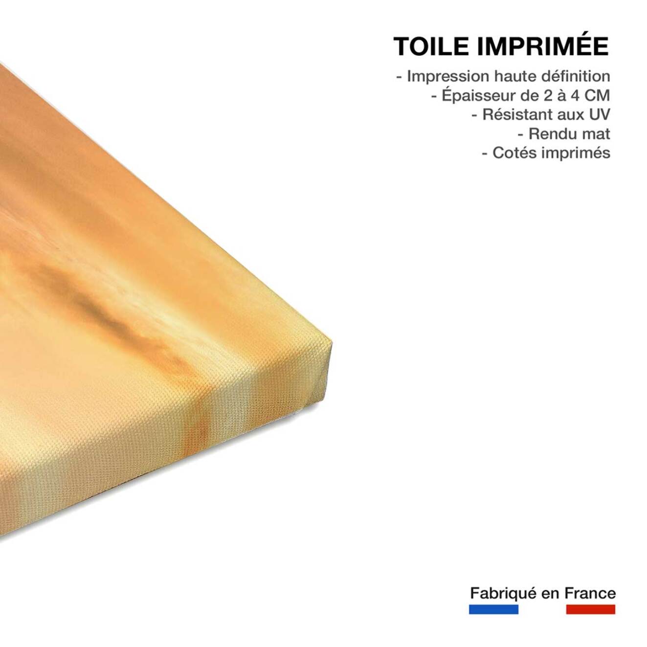 Tableau paysage nature chemin des basques  Toile imprimée