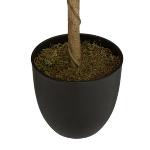 Citronnier artificiel H70cm
