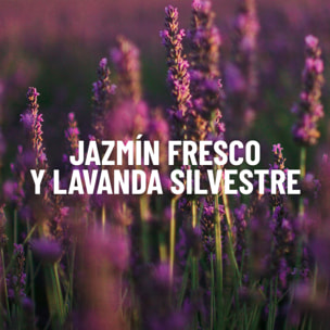 Botanical Origin Detergente para la ropa Ecológico fragancia Jazmín Fresco y Lavanda Silvestre 70 lavados (2x35 dosis)