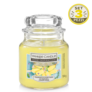 SET 3PZ CANDELA IN GIARA PICCOLA LEMON-LIME POPSICLE
