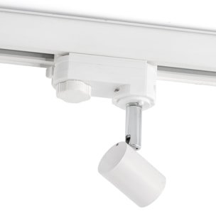 PLOT Proyector de carril blanco