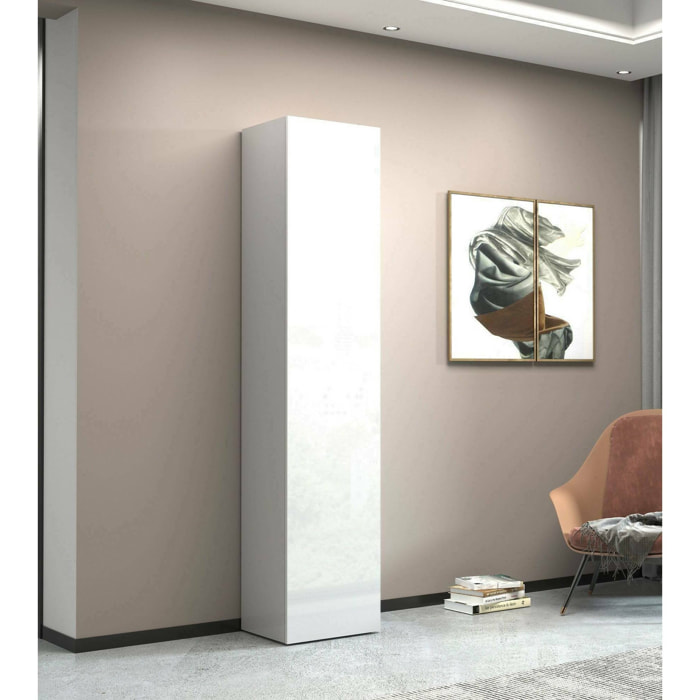 Armadio Multiuso 1 antaBassiano, Mobile multiuso a 1 anta, Guardaroba multifunzione, 45x35h190 cm, Bianco