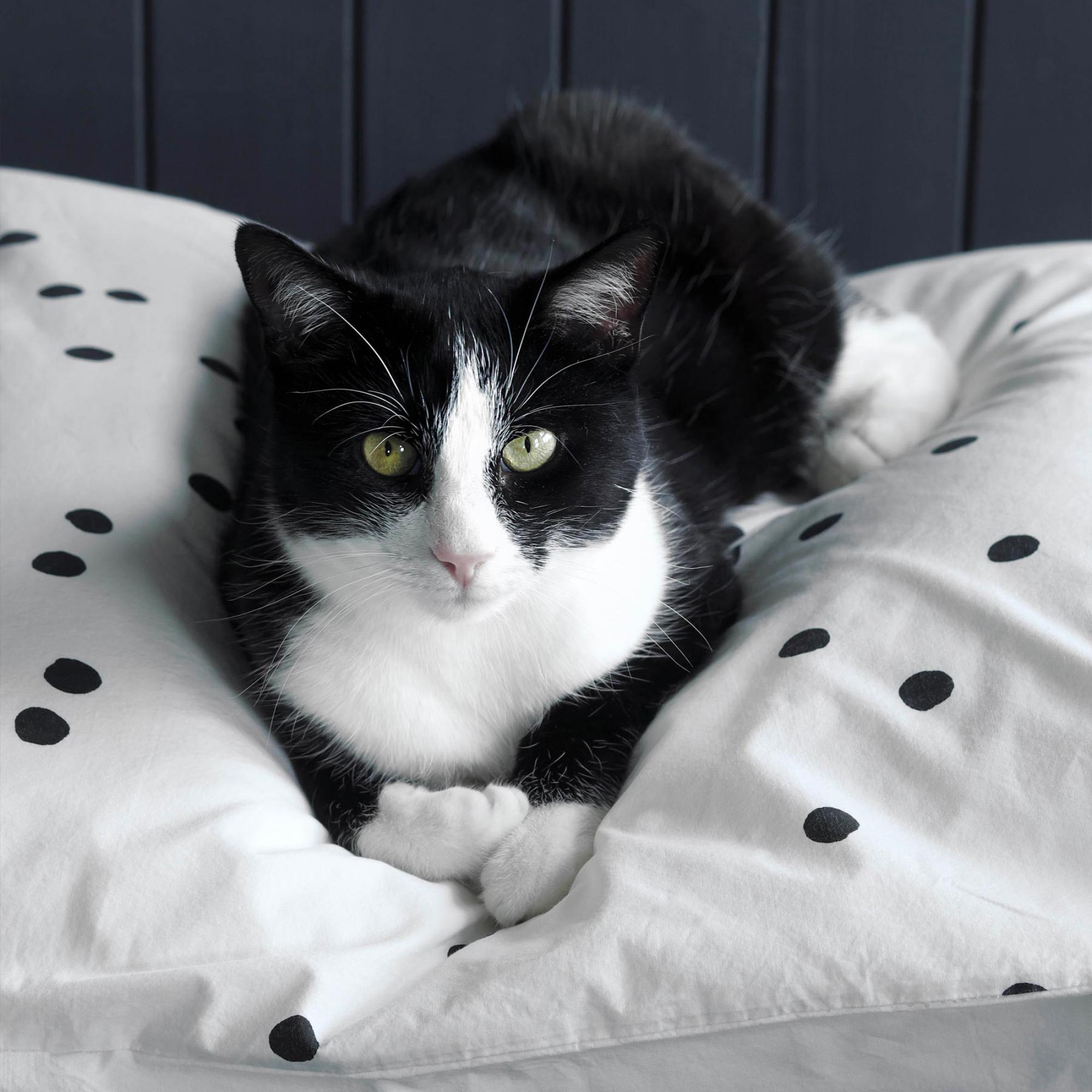 Taie d'oreiller Odette