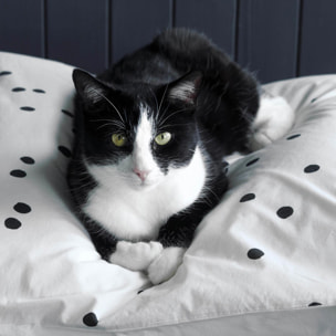 Taie d'oreiller Odette