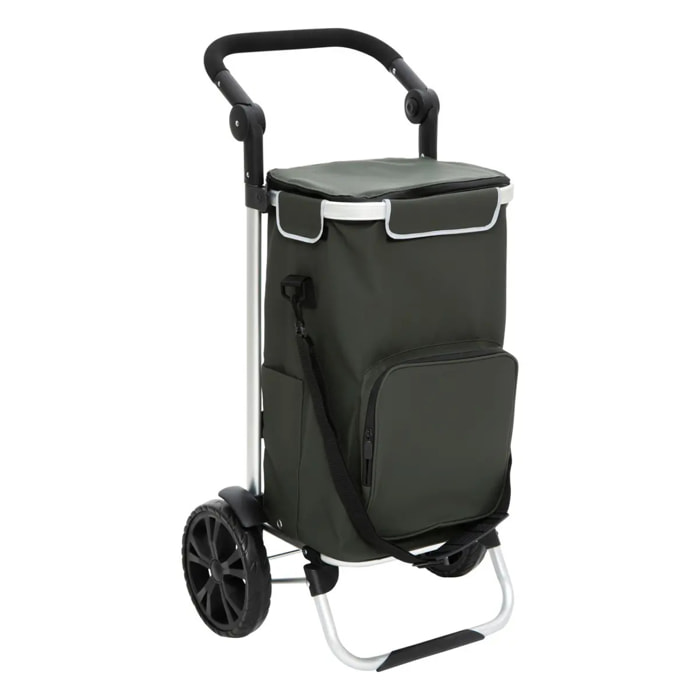 Chariot de course 2 roues vert