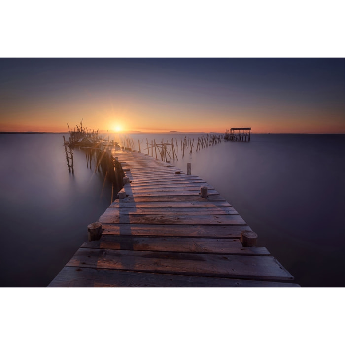 Tableau lumière violette Tableau alu Dibond