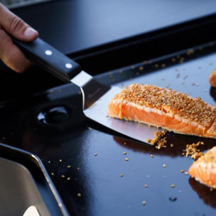 Spatule Inox - LE MARQUIER
