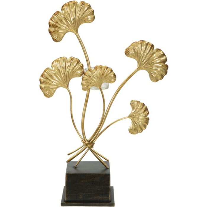 P/CAND GLAM IRIS CM 29X12,5X44