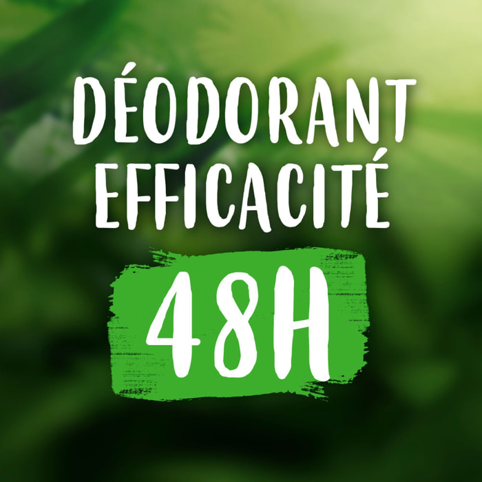 Lot de 12 - Déodorant Bille Monoï Tiare 50ml