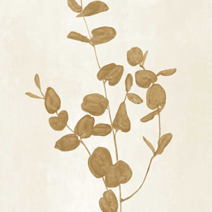 Affiche fleurs Recolte d'or Roya Affiche sous cadre bois