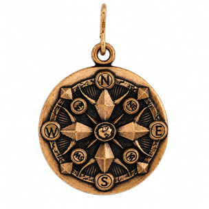 Charm Alex And Ani Mujer CS15C123