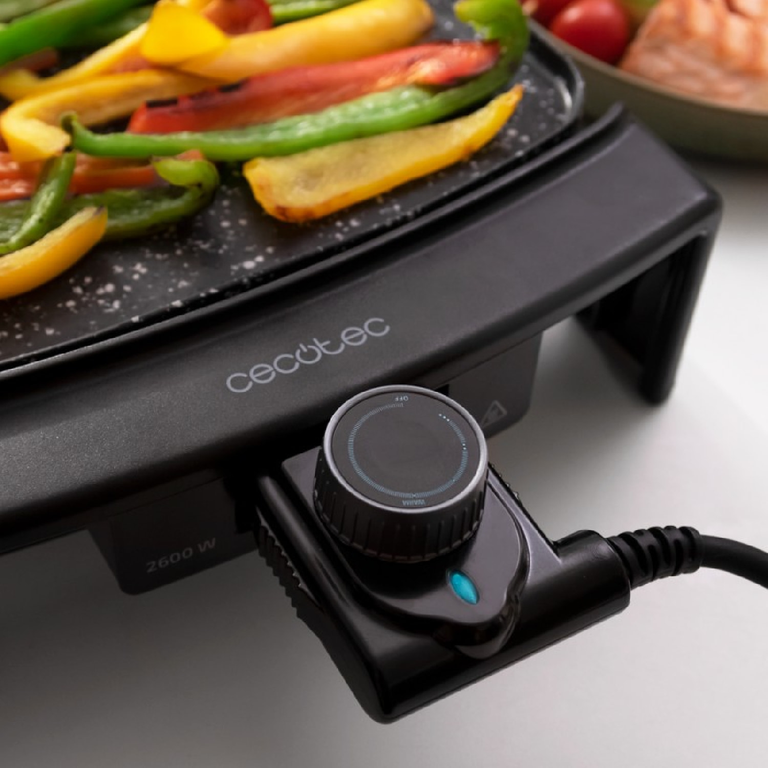 Cecotec Plancha électrique Tasty&Grill 3000 RockWater MixGrill