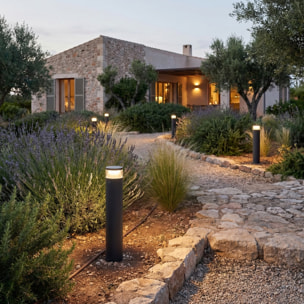 LEDS C4 Baliza Ip66 Dan Led 8.9.,W Sw 3000-4000K On-Off Gris Urbano 439Lm