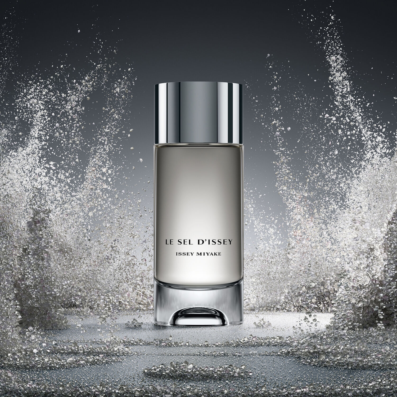 Le Sel D'Issey - Eau de Toilette