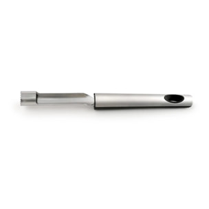Vide pomme 22 cm
