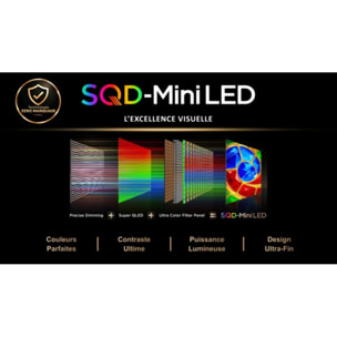TV Mini LED TCL 55C89L (2026) 55" (139 cm)