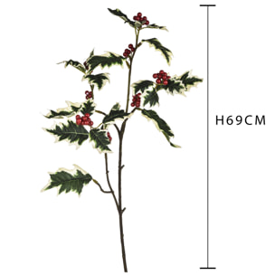 Agrifoglio - Pezzi 24 - 12xH69x13cm - Bianchi Dino SpA