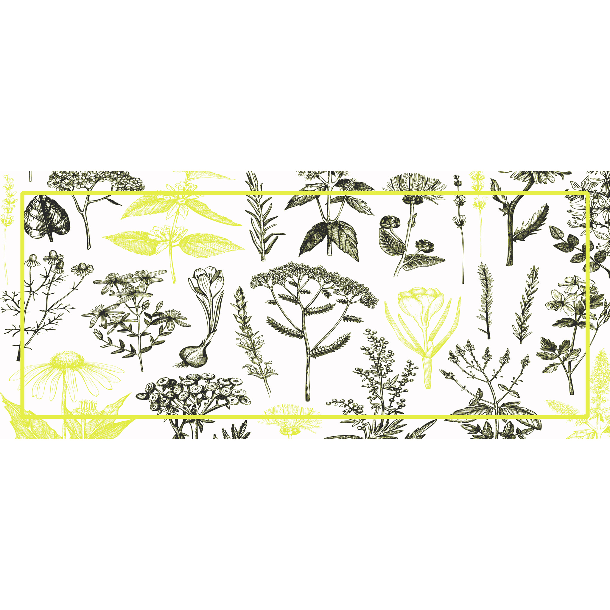 Alfombra de vinilo CERAMIKO, Plantas medicinales limón 66x150 cm