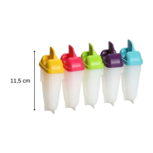 Lot de 5 moules pour glaces à l'eau maison Fackelmann