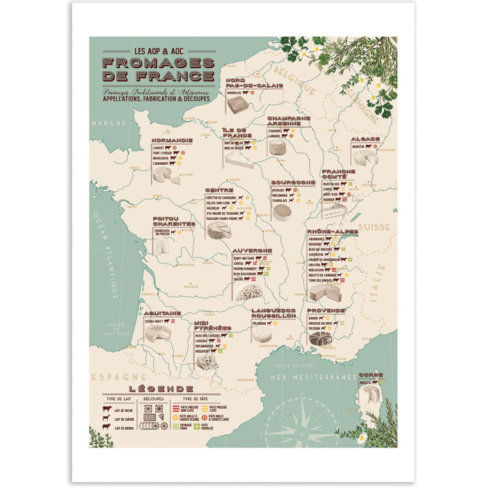 Affiche - Carte des fromages de France - Frog Posters