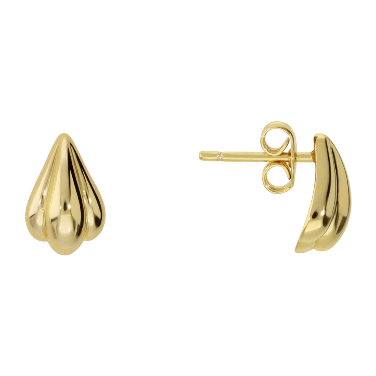 Orecchini a Lobo Conchiglia